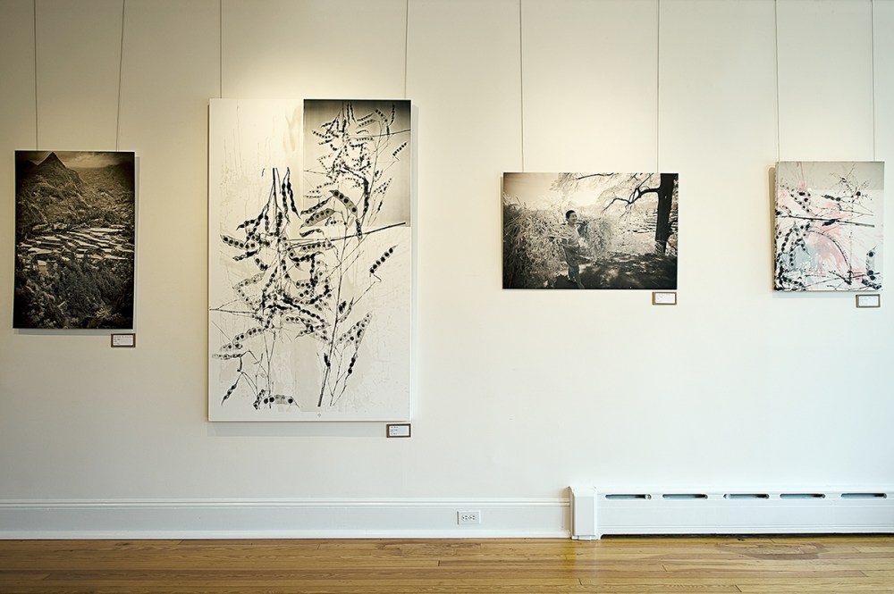 Steve Miller and Terri Gold