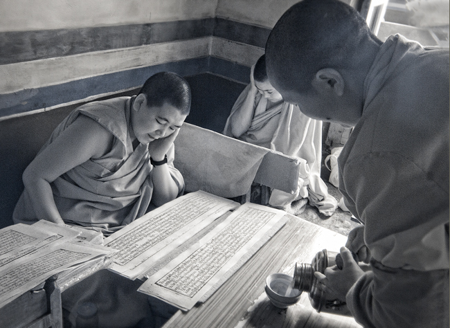 Buddhist Nuns Ladakh
