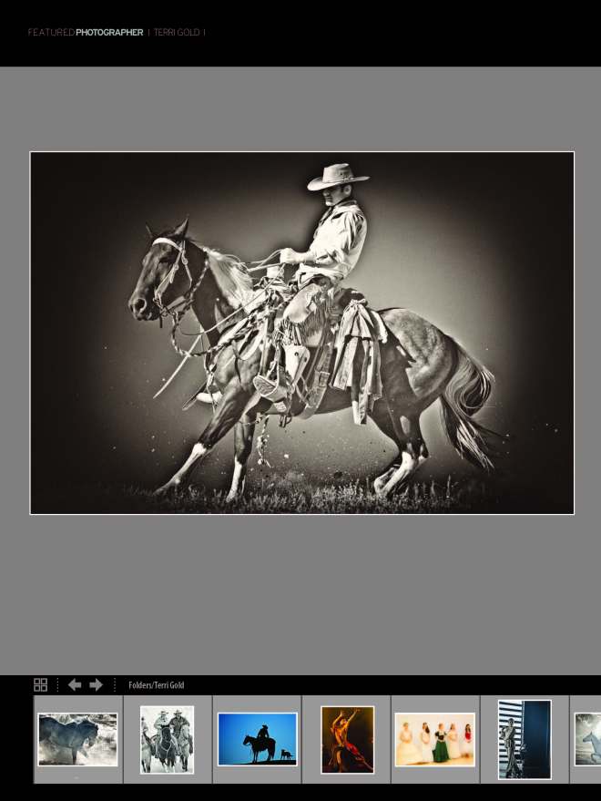 TerriGold Lightroom Magazine Feature reduced_Page_3