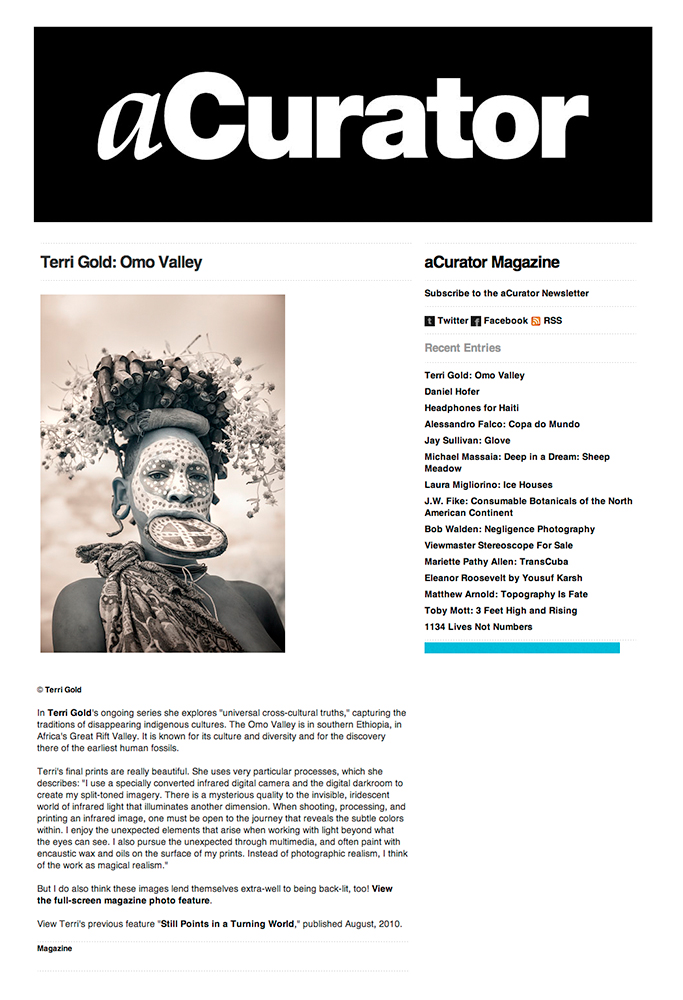 acurator  terri gold 