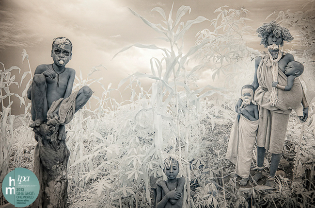 Gold_T_IntheCornfield-2