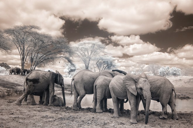 Kenya_2015_red-1083-103