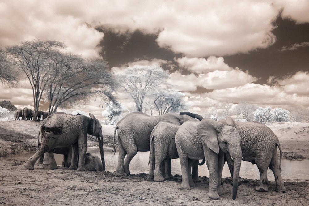 Kenya_2015_red-1083-103