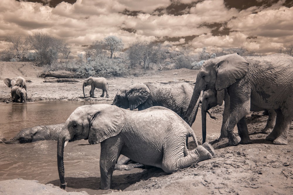 Kenya_2015_red-1088-104