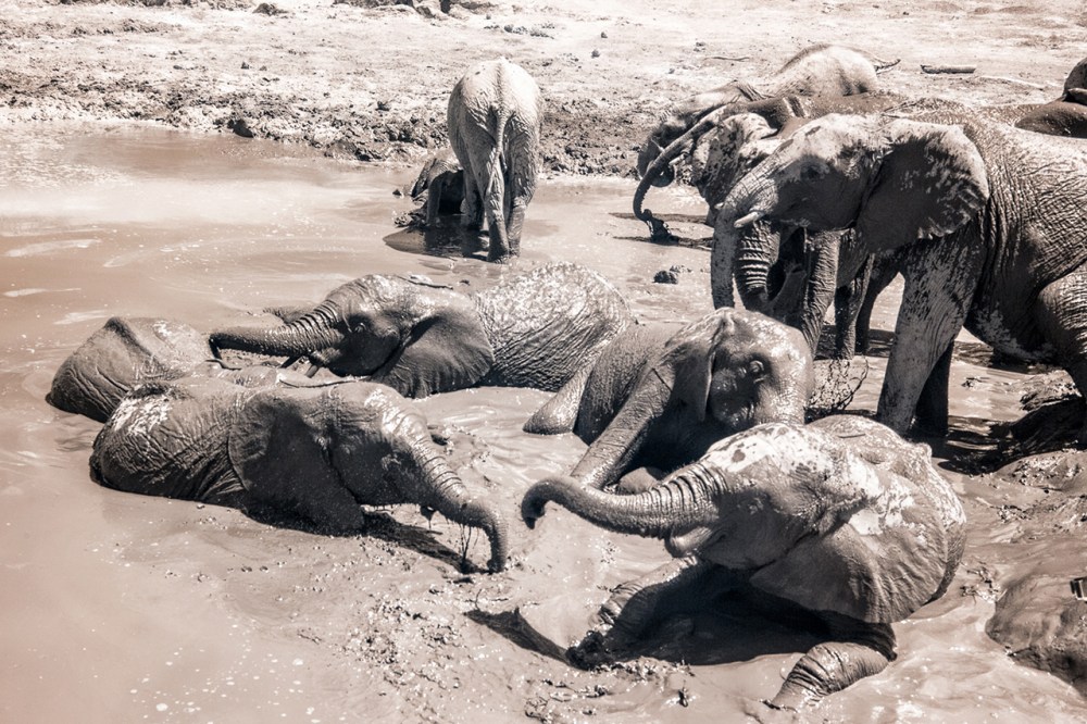 Kenya_2015_red-1225-105