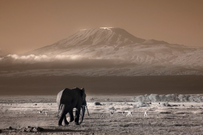 Kenya_2015_red-763