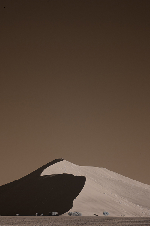 Namibia_Dunes_Etosha_San_Red-10
